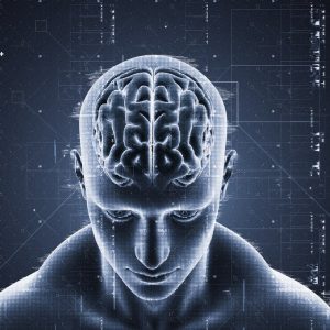 احساسات مغز در بحران