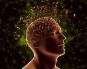 عملکرد مغز در بحران